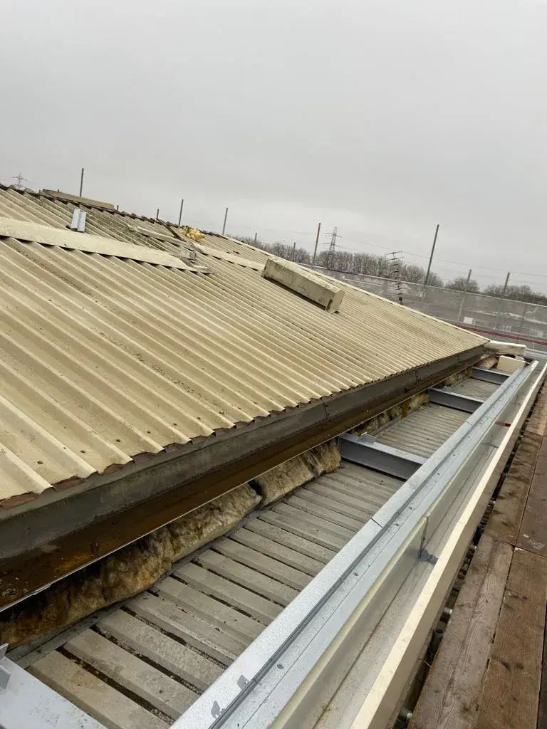 Tottenham, London image 4